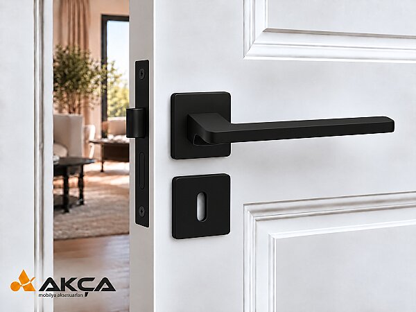 SYSTEM Kapı kolu GIADA HA110 RO11 AL6 SİYAH - 1